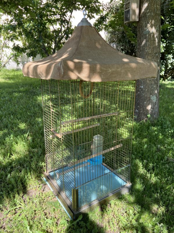 Ancienne cage à oiseaux  -  Le métal