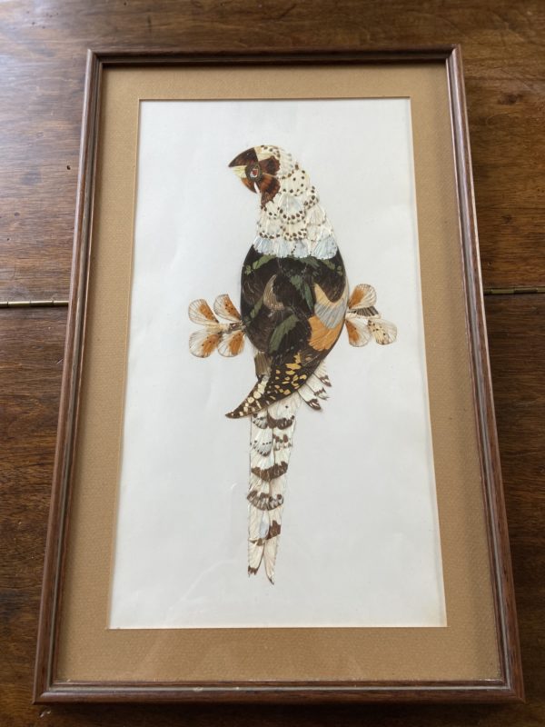 Cadre décoratif vintage en ailes de Papillons  -  La décoration