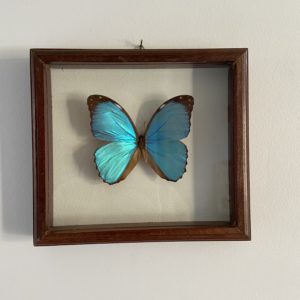 Cadre papillon vintage  -  La décoration