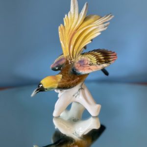 Oiseau du Paradis  -  La décoration