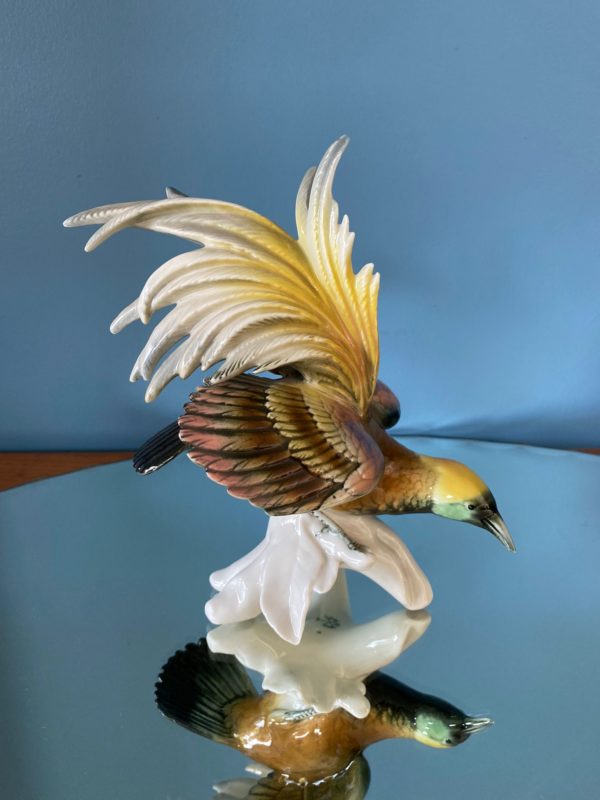 Oiseau du Paradis  -  La décoration
